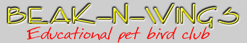 Beak N Wings Logo